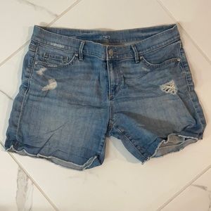 Loft Denim Shorts